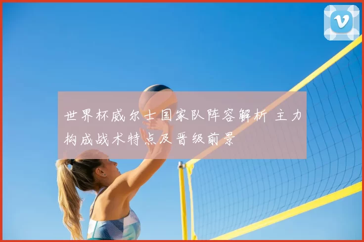 世界杯威尔士国家队阵容解析 主力构成战术特点及晋级前景