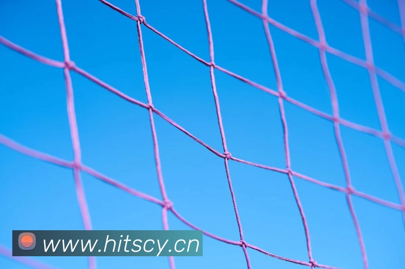 九游会(J9) - 九游官方网站登录入口平台生态图